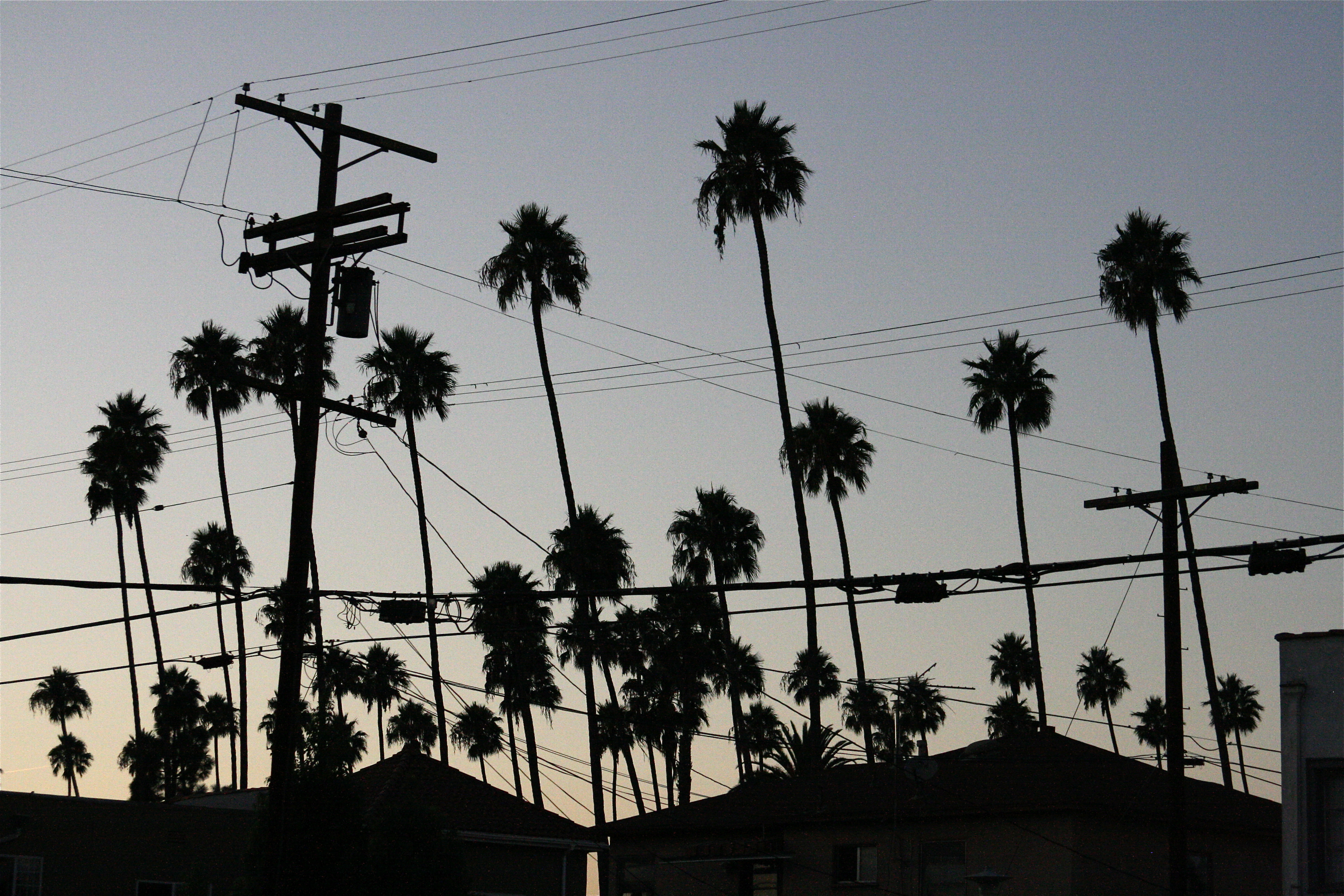 Из Лос Анжелеса в гетто - 44 фото